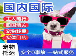 阿尔山伊尔施机场邮寄国际宠物托运 【国